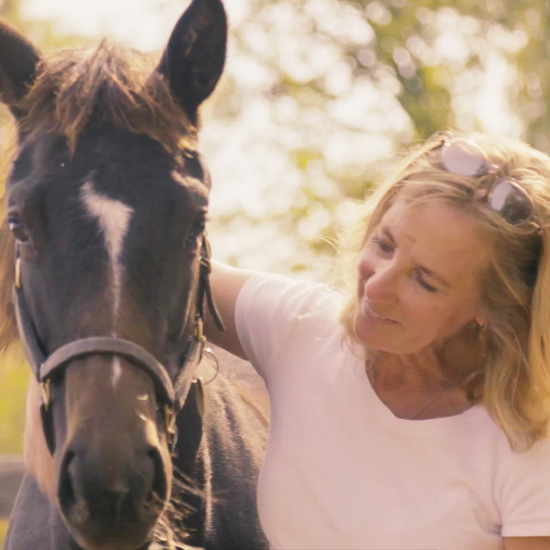 ONTARIO LOTTERY & GAMING